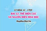 Cặp Oxi hóa Khử của kim loại? Pin Galvani, thế điện cực chuẩn của kim loại và ý nghĩa? Hóa 12 bài 12 CTST